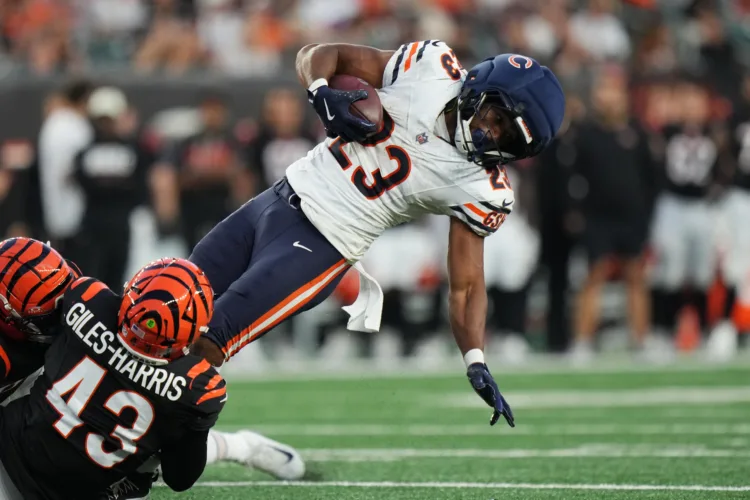 40-year-old journeyman QB Josh Johnson leads Bengals to 27-9 preseason victory over Bears